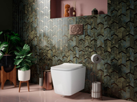 Унитаз Ceramicanova Cubic подвесной с сиденьем Микролифт арт-CN1806 — фото 12, Подвесные унитазы