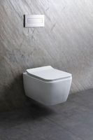 Унитаз Allen Brau Liberty 2 4.33007.21 подвесной Белый матовый без сиденья — фото 36, Подвесные унитазы