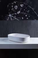 Товар: Раковина-чаша Allen Brau Fantasy 55 4.11022.21 Белая матовая - фото 8 Раковина-чаша Allen Brau Fantasy 55 4.11022.21 Белая матовая — фото 8, Раковины накладные