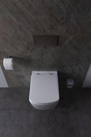 Крышка-сиденье для унитаза Allen Brau Liberty 4.33006.20 белый глянец — фото 17, Сиденья для унитаза