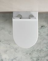 Товар: Унитаз Ceruttispa Bernina F CT7842 приставной с сиденьем Микролифт - фото 4 Унитаз Ceruttispa Bernina F CT7842 приставной с сиденьем Микролифт — фото 4, Приставные унитазы