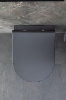 Товар: Унитаз Allen Brau Priority 4.31002.AN подвесной Антрацит без сиденья - фото 43 Унитаз Allen Brau Priority 4.31002.AN подвесной Антрацит без сиденья — фото 43, Подвесные унитазы