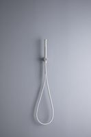 Душевой гарнитур Allen Brau Priority 5.31019-BN Никель брашированный — фото 3, Душевые гарнитуры на штанге