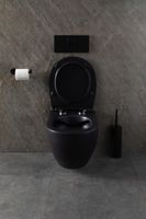 Унитаз Allen Brau Reality 4.32006.31 подвесной Черный матовый без сиденья — фото 31, Подвесные унитазы