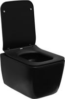 Унитаз Allen Brau Liberty 2 4.33007.31 подвесной Черный матовый без сиденья — фото 23, Подвесные унитазы