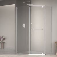 Душевой уголок  90*100*195 RGW PA-091 Трапеция/Хром/Матовое/6 мм (EasyClean) арт-35089190-21 — фото 1, Душевые уголки трапеция