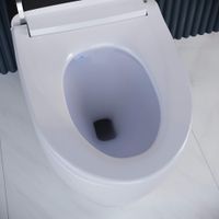 Унитаз умный напольный RGW SW-30  белый  (с мануальным управлением, горизонтальный выпуск) арт-63420130-01 — фото 4, Умные унитазы