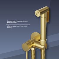 Товар: Гигиенический душ со смесителем RGW SP-211-Gb Золото браш (Смеситель/шланг/гигиенический душ/) арт-581408211-06 - фото 3 Гигиенический душ со смесителем RGW SP-211-Gb Золото браш (Смеситель/шланг/гигиенический душ/) арт-581408211-06 — фото 3, Гигиенические души
