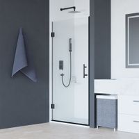 Душевая дверь  90*195 RGW HO-011-B Чёрный/Матовое/8 мм арт-350601109-24 — фото 1, Распашные душевые двери