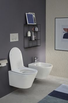 Товар: Крышка-сиденье для унитаза Jacob Delafon Rodin+ с микролифтом, термодюропласт, белый (E23280-00) - фото 4 Крышка-сиденье для унитаза Jacob Delafon Rodin+ с микролифтом, термодюропласт, белый (E23280-00) — фото 4, Сиденья для унитаза