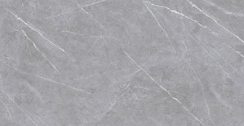 Керамогранит Azario Asmus Grey Glossy F4070821120G 60х120 см — фото 1, Керамогранит