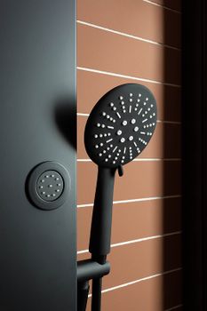 Душевая дверь Aquanet Pleasure AE60-N-160H200U-BT 160 273600 профиль Черный матовый стекло прозрачное — фото 10, Раздвижные душевые двери