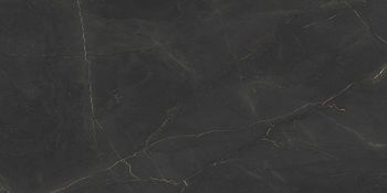 Керамогранит Azario Armani Black High Glossy P321111216HG 60х120 см — фото 3, Керамогранит