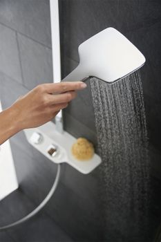 Ручной душ Kludi Freshline 6450005-00 Хром Белый — фото 2, Лейки для душа