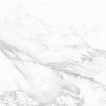 Керамогранит Azario Afion Classic Glossy E102082160G 60х60 см — фото 1, Керамогранит