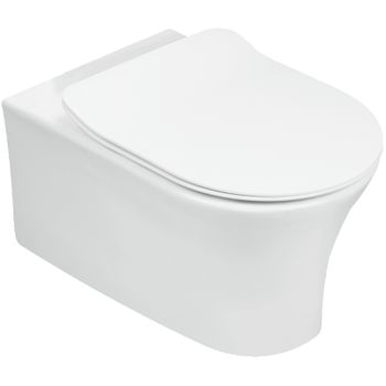 Унитаз Jacob Delafon Aleo EDAH132-0 подвесной без сиденья — фото 1, Подвесные унитазы