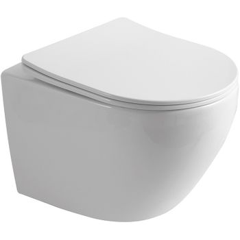 Унитаз Olive's Plaza PL30116DP подвесной с сиденьем Микролифт — фото 1, Подвесные унитазы