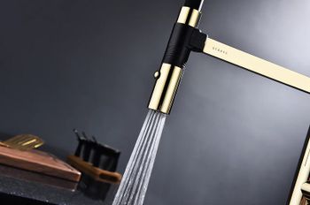 Смеситель для кухни Paulmark Leader Le214101-G Золото — фото 10, Смесители для кухни