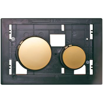 Клавиша смыва Tece Loop Modular 9240668 для унитаза без лицевой панели Золотая — фото 1, Кнопки смыва