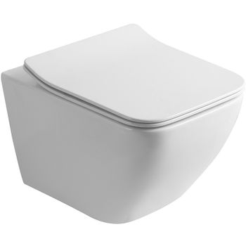 Унитаз Olive's Artis AR30116DP подвесной с сиденьем Микролифт — фото 1, Подвесные унитазы