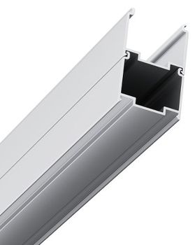 Душевая дверь Ravak Blix BLDP2-100 0PVA0U00ZH профиль Сатин стекло Графит — фото 5, Раздвижные душевые двери