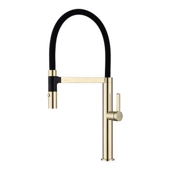 Смеситель для кухни Paulmark Leader Le214101-G Золото — фото 1, Смесители для кухни