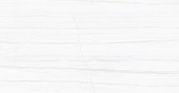 Керамогранит Azario Salent Grey Glossy F2070821120G 60х120 см — фото 1, Керамогранит