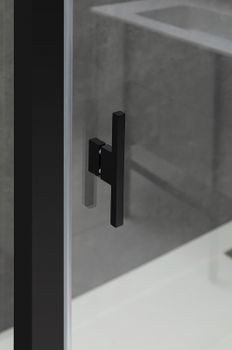 Душевая дверь Allen Brau Priority 100 3.31030.BBA профиль Черный браш стекло прозрачное — фото 10, Распашные душевые двери