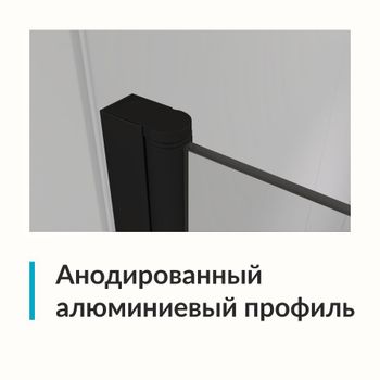 Душевая дверь  90*195 RGW Dolphin TN-03-B Чёрный/Прозрачное/6 мм (Easy) — фото 3, Распашные душевые двери