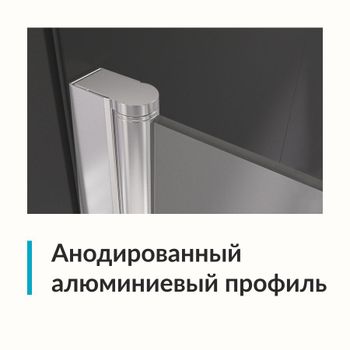 Душевая дверь  90*195 RGW Dolphin TN-03 Хром/fabric/6 мм (Easy) — фото 3, Распашные душевые двери