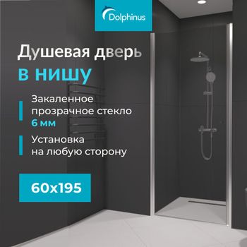 Душевая дверь  60*195 RGW Dolphin TN-03 Хром/Прозрачное/6 мм (Easy) — фото 1, Распашные душевые двери