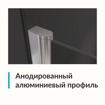 Душевая дверь  80*195 RGW Dolphin TN-03 Хром/Прозрачное/6 мм (Easy) — фото 3, Распашные душевые двери