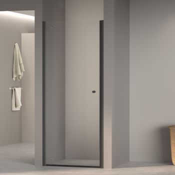 Душевая дверь  60*195 RGW Dolphin TN-03-B Чёрный/Прозрачное/6 мм (Easy) — фото 1, Распашные душевые двери
