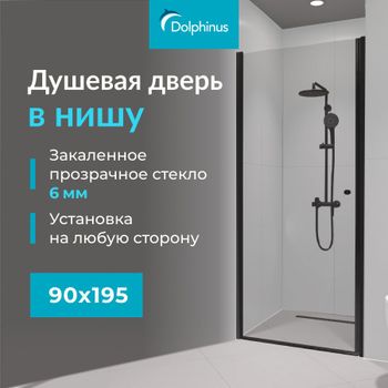 Душевая дверь  90*195 RGW Dolphin TN-03-B Чёрный/Прозрачное/6 мм (Easy) — фото 1, Распашные душевые двери