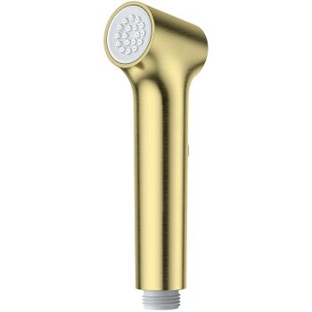 Гигиенический душ Raglo R460.05.03 Золото матовое — фото 1, Гигиенические души