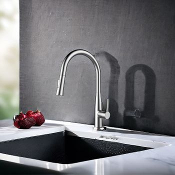 Смеситель для кухни Raiber Graceful RP-011 Хром — фото 6, Смесители для кухни