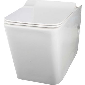 Унитаз компакт Creto Logan L2 1002-004-WF без бачка и с сиденьем Микролифт — фото 1, Напольные унитазы