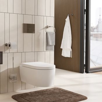 Mosel K-46627 Щетка для унитаза подвесная — фото 2, Ершики для унитаза