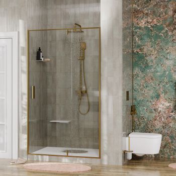 Aisch 55P04 Душевая дверь — фото 1, Душевые двери в нишу