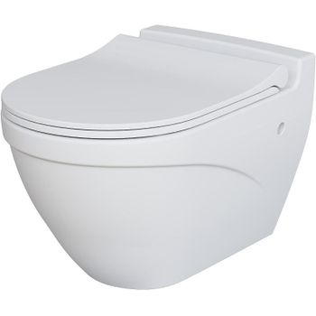 Унитаз Ambassador Nord 133T20101-132T20101S подвесной Белый матовый с сиденьем Микролифт — фото 1, Подвесные унитазы