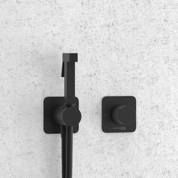 A5251.302.241.212 Встраиваемый комплект для биде со шлангом — фото 1, Гигиенические души