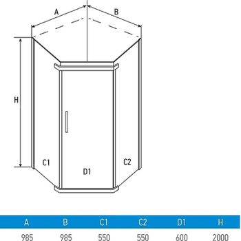 Душевой уголок Erlit Comfort 99х99 ER10110V-C4 профиль Хром матовый стекло тонированное — фото 2, Душевые уголки трапеция