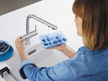 Смеситель для кухни Blanco Fontas II 525137 Хром — фото 5, Смесители для кухни