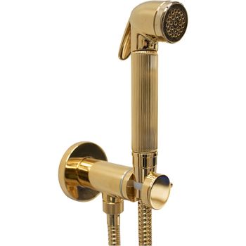 Гигиенический душ со смесителем Bossini Nikita E37008B.021 Золото — фото 1, Гигиенические души