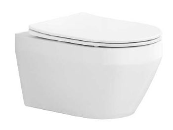 Унитаз подвесной безободковый Aquatek ЛЕЯ AQ1199Т-00, смыв Торнадо, 490*360*320 мм, горизонтальный в — фото 1, Подвесные унитазы