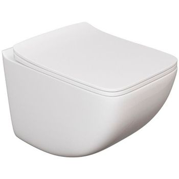 Унитаз Caprigo Modern Comfort C-1303 подвесной с сиденьем Микролифт — фото 1, Подвесные унитазы