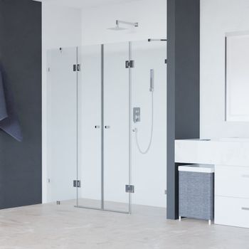 Душевая дверь 250*195 RGW HO-013 Хром/Прозрачное/8 мм — фото 1, Распашные душевые двери