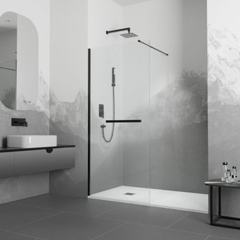 Душевая перегородка  90*195 RGW WA-041 B Чёрный/Прозрачное/8 мм (Easy) — фото 1, Душевые перегородки