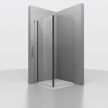 Боковая панель 100*200 RGW Z-050-3-B Чёрный/Прозрачное/6 мм — фото 1, Боковые стенки