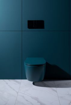 Чаша подвесного унитаза Allen Brau Fantasy 4.11004.PT петроль — фото 30, Подвесные унитазы